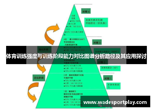 体育训练强度与训练阶段能力对比图谱分析路径及其应用探讨