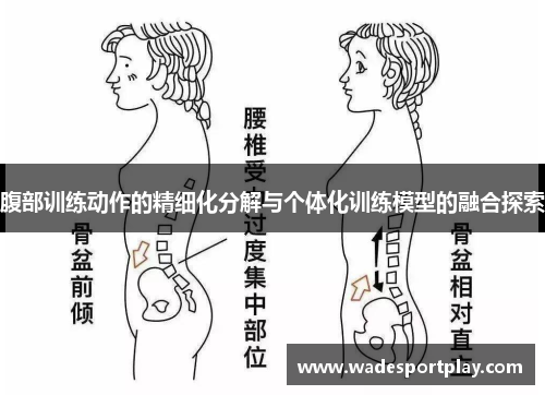 腹部训练动作的精细化分解与个体化训练模型的融合探索